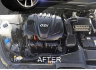 Engine bay after detailing by Gifted Hands